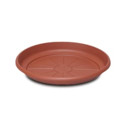 Crescent Too Emma 1.3 in. H X 9.5 in. D PP Plastic Plant Saucer Terracotta