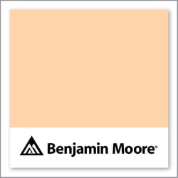 Benjamin Moore Funky Fruit 2015-50