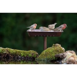 More Birds Wild Bird 6 lb Steel 3-in-1 Platform Bird Feeder 1 ports