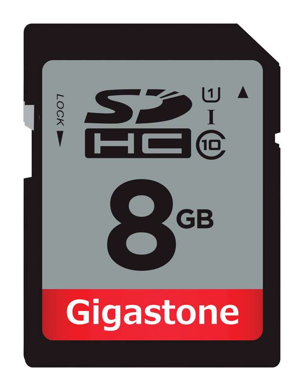 Gigastone SD Flash Memory Card 1 pk - Ace Hardware
