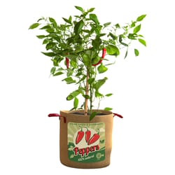 Panacea 16 in. H Burlap Pepper Planter Brown