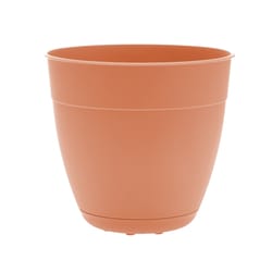 Bloem Dayton 12 in. W X 12 in. D Plastic Planter Coral