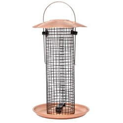 Songbird Essentials Goldfinch 0.5 lb Metal Bird Feeder
