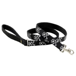 Lupine Pet Original Designs Multicolor Bling Bonz Nylon Dog Leash