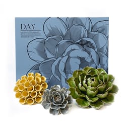 Chive Ceramic Flowers 2.9 in. H X 11 in. W X 13.3 in. L Glazed Assorted Ceramic Day Box Set