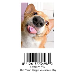 Avanti Press Dog With Candy Heart On Tongue Greeting Cards Paper 1 pk