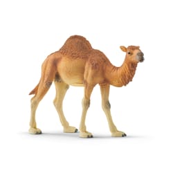 Schleich Wild Life Dromedary Toy Brown