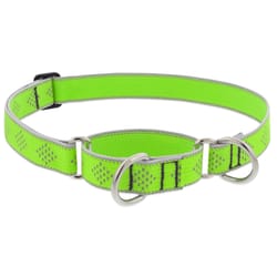 LupinePet HighLights Green Diamond Nylon Dog Martingale