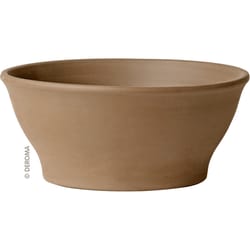Deroma 12.6 in. W X 12.6 in. D Clay Low Bowl Bowl Planter Terracotta