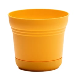 Bloem Saturn 4.5 in. H X 5 in. W Plastic Traditional Planter Yellow