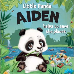 Little Panda Aiden Storybook