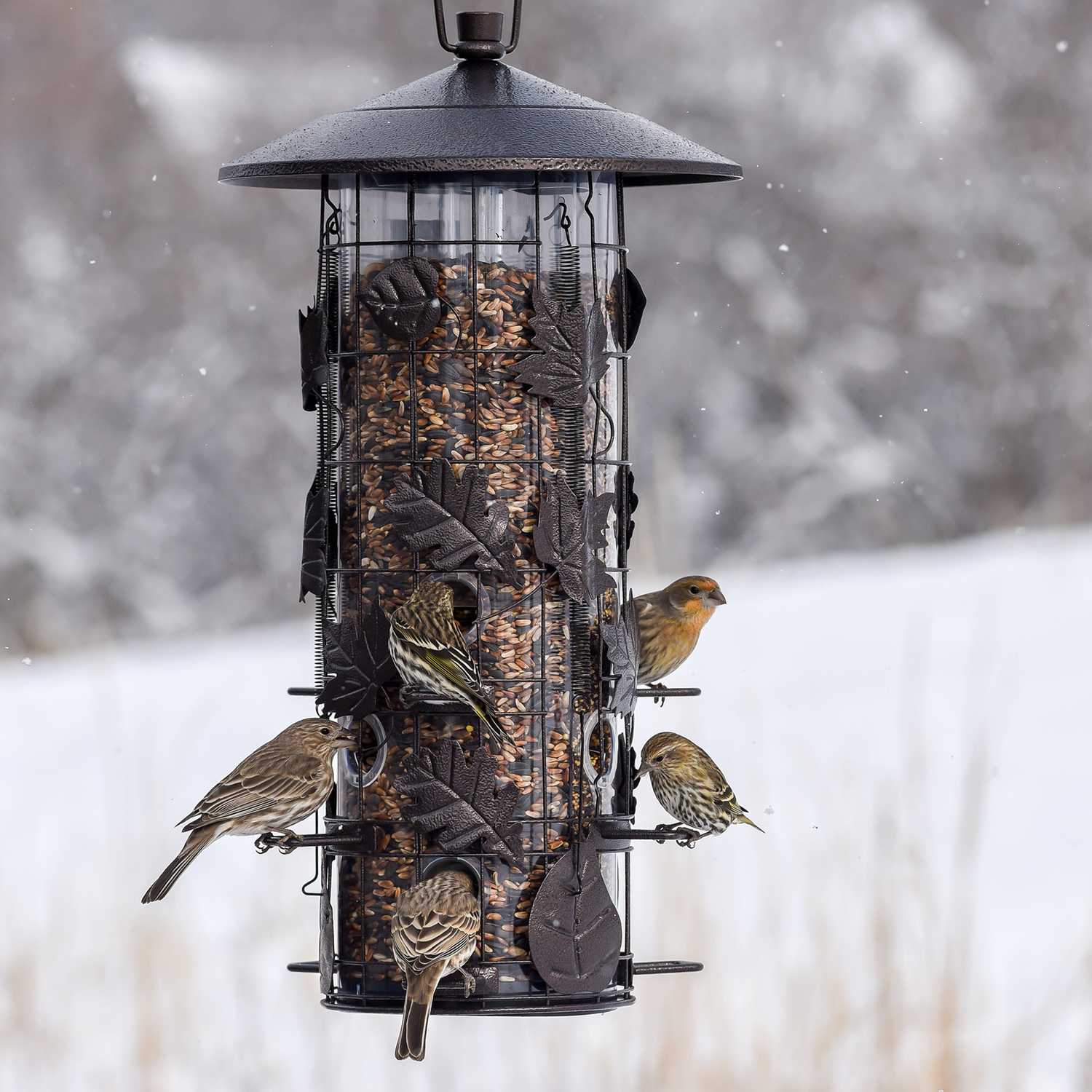 PerkyPet Wild Bird 8 lb. Metal/Plastic Bird Feeder 9 ports Ace Hardware