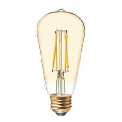 GE ST19 E26 (Medium) Filament LED Bulb Amber Warm White 60 Watt Equivalence 2 pk