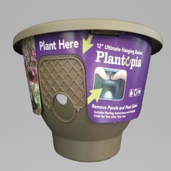 Dalen Plantopia Tan Plastic 12 in. H Plant Hanger 1 pk