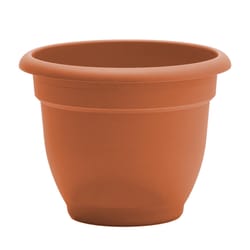 Bloem Ariana 17 in. H X 21.5 in. W Resin Traditional Planter Terracotta