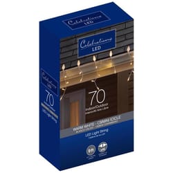 Celebrations Blue LED C9 Warm White 70 ct Icicle Christmas Lights 9 ft.