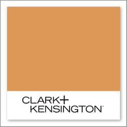 Clark+Kensington African Lion 14B-6