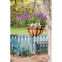 Living Accents Steel Hanging Basket Black