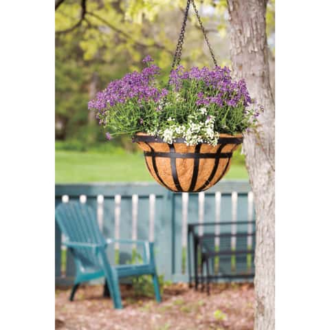 Living Accents Steel Hanging Basket Black Living Accents Steel Hanging Basket Black