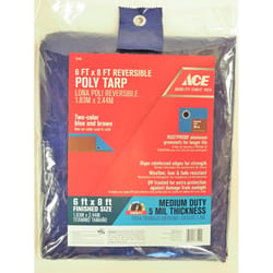 Ace 6 ft. W X 8 ft. L Medium Duty Polyethylene Tarp Blue/Brown