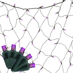 Celebrations Purple 100 ct LED Halloween Net Lights