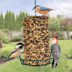 Kaytee Songbird Seed Wild Bird Seed 28.5 oz