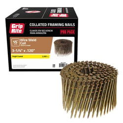 Grip-Rite 3-1/4 in. L X 11 Ga. Angled Strip Bright Framing Nails 15 deg 2500 pk