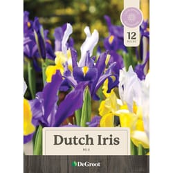 DeGroot Dutch Iris Mix Bulb 12 pk