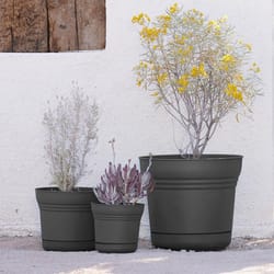 Bloem Saturn 12.75 in. H X 14.5 in. W Plastic Traditional Planter Charcoal