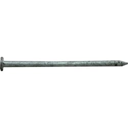 Pro-Fit 16D 3-1/2 in. Common Hot-Dipped Galvanized Steel Nail 1 lb