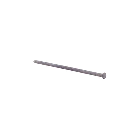 Grip-Rite 8 in. Spike Hot-Dipped Galvanized Steel Nail Flat Head 50 lb Grip-Rite 8 in. Spike Hot-Dipped Galvanized Steel Nail Flat Head 50 lb