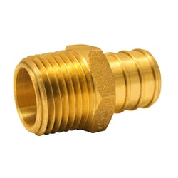 Apollo 3/4 in. PEX Barb in to X 1/2 in. D MPT Brass Adapter