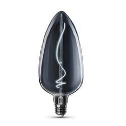 Feit Tear Drop E26 (Medium) Filament LED Bulb Smoke Daylight 60 Watt Equivalence 1 pk