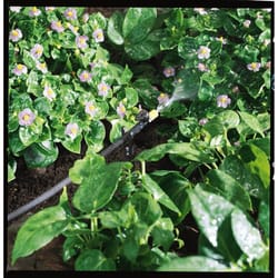 Orbit For 1/4 in. Tubing Drip Irrigation Tubing Stake 0.5 in. H 10 pk