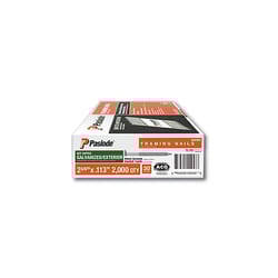 Paslode RounDrive 2-3/8 in. L Angled Strip Hot-Dip Galvanized Framing Nails 30 deg 2000 pk