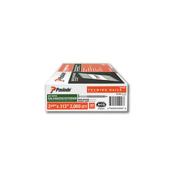 Paslode RounDrive 2-3/8 in. L Angled Strip Hot-Dip Galvanized Framing Nails 30 deg 2000 pk