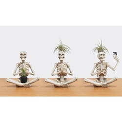 Eve's Garden Ceramic Selfie, Cauldron and Yoga Skeletons Air Plant and Succulent Cream White