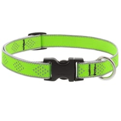 Lupine Pet Green Diamond Nylon Dog Adjustable Collar