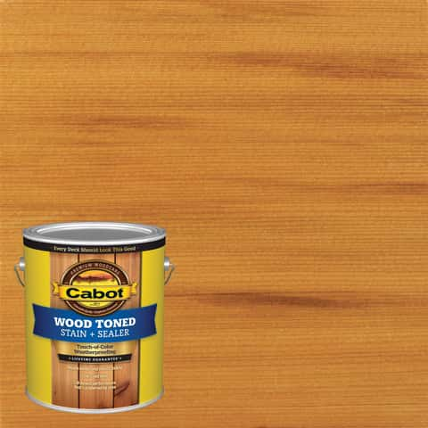 Thompson's WaterSeal Semi-Transparent Chestnut Brown Waterproofing