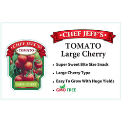 Chef Jeff Red Standard Large Cherry Tomato Vegetable Plant