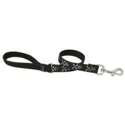 LupinePet Original Designs Multicolor Bling Bonz Nylon Dog Training Leash