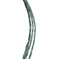 Koch Industries 200 ft. L Green Twisted Jute Twine