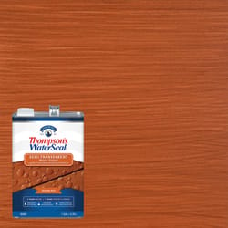 Thompson's WaterSeal Wood Sealer Semi-Transparent Sedona Red Waterproofing Wood Stain and Sealer 1 g