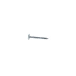 Grip-Rite 1-1/4 in. Roofing Hot-Dipped Galvanized Steel Nail Flat Head 1 lb