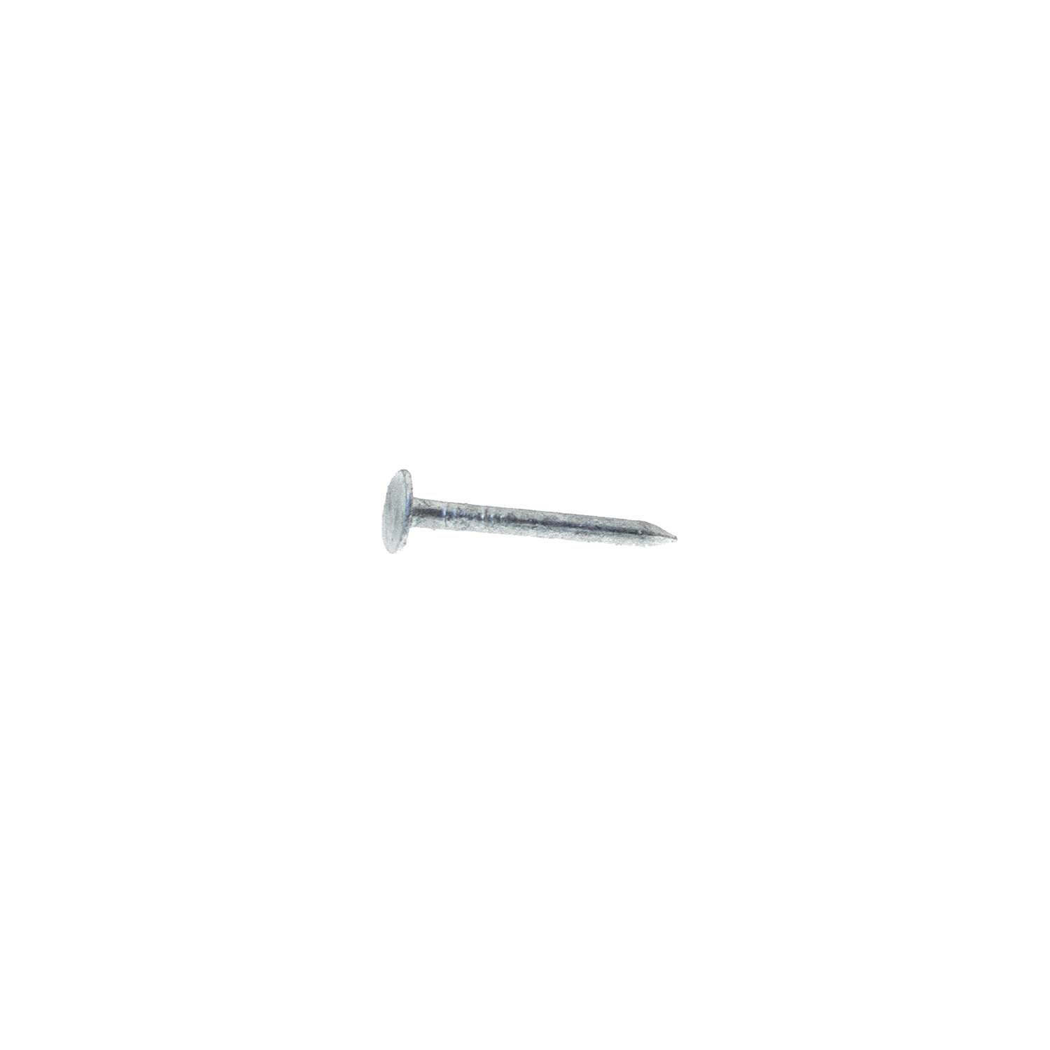 GripRite 11/4 in. Roofing HotDipped Galvanized Steel Nail Flat Head