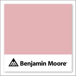 Benjamin Moore Engagement 1277