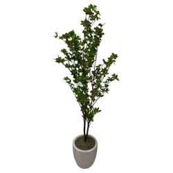 DW Silks 60 in. H X 14 in. L Polyester Douban Tree in White Textured Planter
