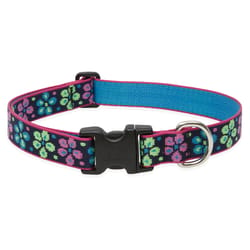 Lupine Pet Original Designs Multicolor Flower Power Nylon Dog Adjustable Collar