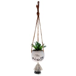 Karma Gifts 2 in. H X 3 in. W X 2 in. L Multicolored Ceramic Hanging Succulent Pot