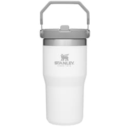 Stanley The IceFlow 20 oz Polar BPA Free Insulated Straw Tumbler